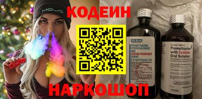 МДПВ Кингисепп