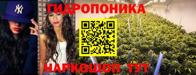 твердый Кинель